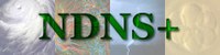 NDNS logo